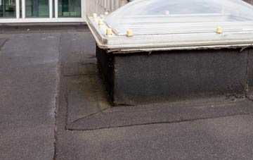disadvantages of Newhaven flat roofs