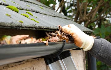 gutter cleaning Newhaven