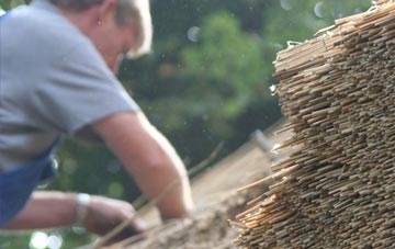 professional Newhaven thatchers