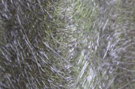 Newhaven fibreglass roof work